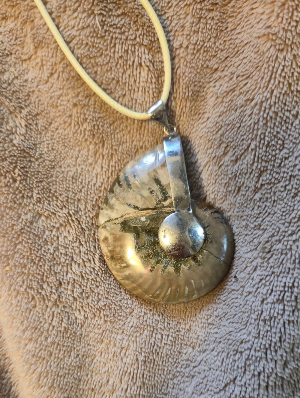 Ammonite Pendant Necklace in Iridescent Cream Sterling Silver Bezel